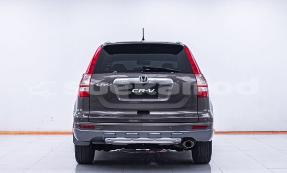 Buy Used Honda CR-V Brown Car in Bangkok in Bangkok Buy Used Honda CR-V Brown Car in Bangkok in Bangkok