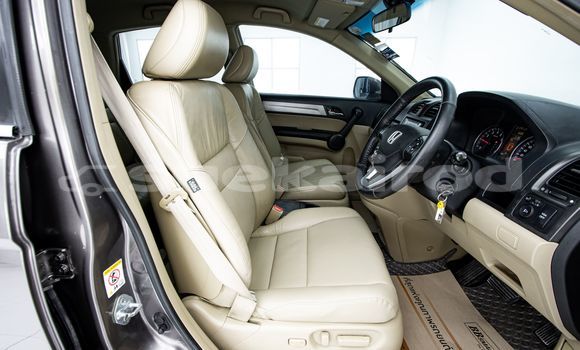 Buy Used Honda CR-V Brown Car in Bangkok in Bangkok Buy Used Honda CR-V Brown Car in Bangkok in Bangkok