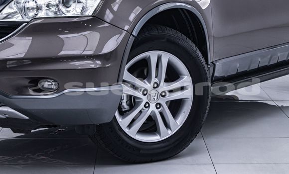 Buy Used Honda CR-V Brown Car in Bangkok in Bangkok Buy Used Honda CR-V Brown Car in Bangkok in Bangkok