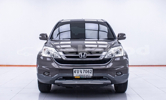 Buy Used Honda CR-V Brown Car in Nonthaburi in Nonthaburi Buy Used Honda CR-V Brown Car in Nonthaburi in Nonthaburi