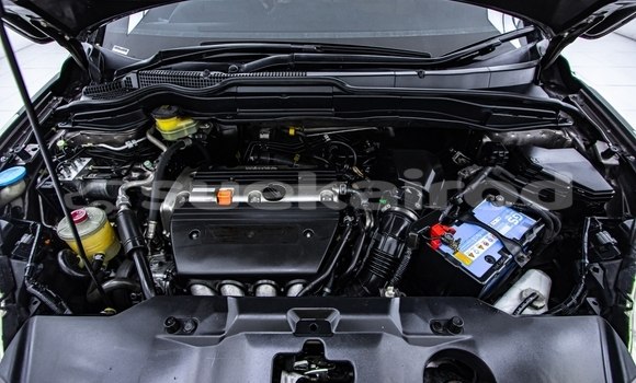 Buy Used Honda CR-V Brown Car in Nonthaburi in Nonthaburi Buy Used Honda CR-V Brown Car in Nonthaburi in Nonthaburi