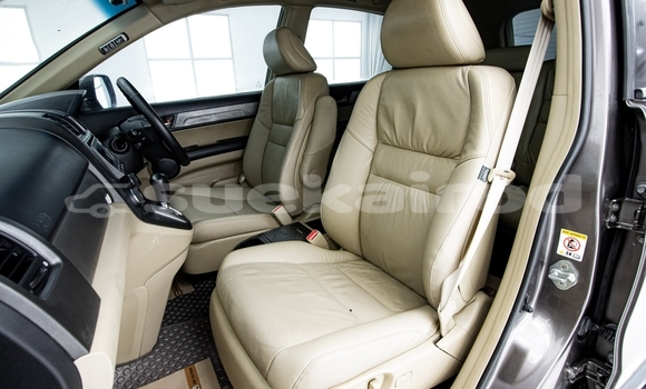 Buy Used Honda CR-V Brown Car in Nonthaburi in Nonthaburi Buy Used Honda CR-V Brown Car in Nonthaburi in Nonthaburi