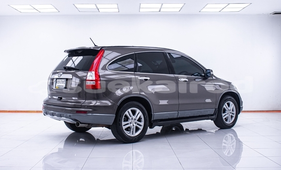 Buy Used Honda CR-V Brown Car in Nonthaburi in Nonthaburi Buy Used Honda CR-V Brown Car in Nonthaburi in Nonthaburi