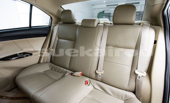 Buy Used Toyota Vios Other Car in Bangkok in Bangkok Buy Used Toyota Vios Other Car in Bangkok in Bangkok