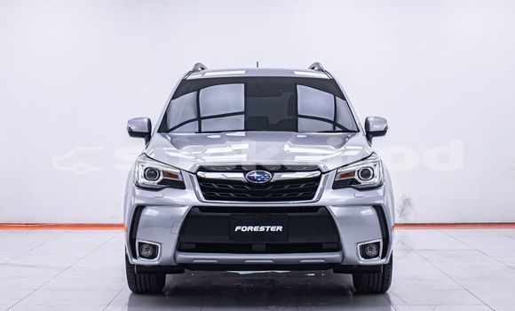 Buy Used Subaru Forester Other Car in Bangkok in Bangkok Buy Used Subaru Forester Other Car in Bangkok in Bangkok