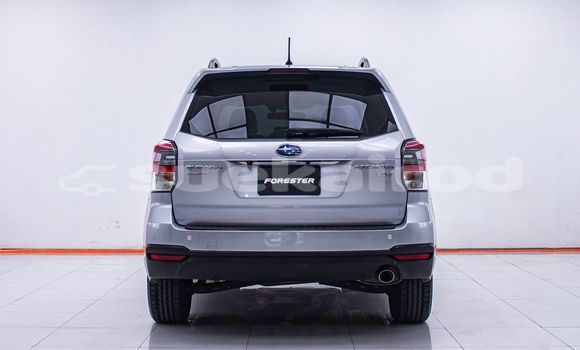 Buy Used Subaru Forester Other Car in Bangkok in Bangkok Buy Used Subaru Forester Other Car in Bangkok in Bangkok