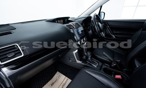 Buy Used Subaru Forester Other Car in Bangkok in Bangkok Buy Used Subaru Forester Other Car in Bangkok in Bangkok