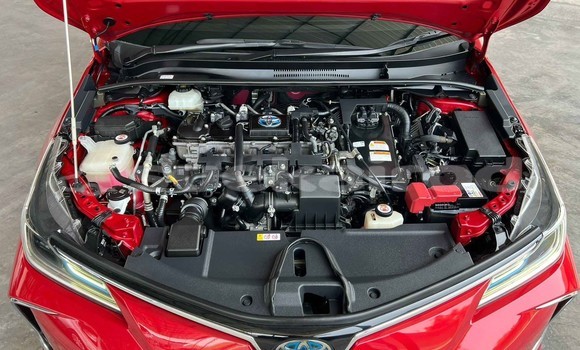 ซื้อ รถมือสอง Toyota Altis สีแดง รถยนต์ ใน %{เมือง} ใน นนทบุรี ซื้อ รถมือสอง Toyota Altis สีแดง รถยนต์ ใน %{เมือง} ใน นนทบุรี