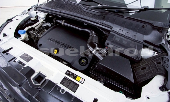 ซื้อ รถมือสอง Land Rover Range Rover Evoque ขาว รถยนต์ ใน %{เมือง} ใน นนทบุรี ซื้อ รถมือสอง Land Rover Range Rover Evoque ขาว รถยนต์ ใน %{เมือง} ใน นนทบุรี