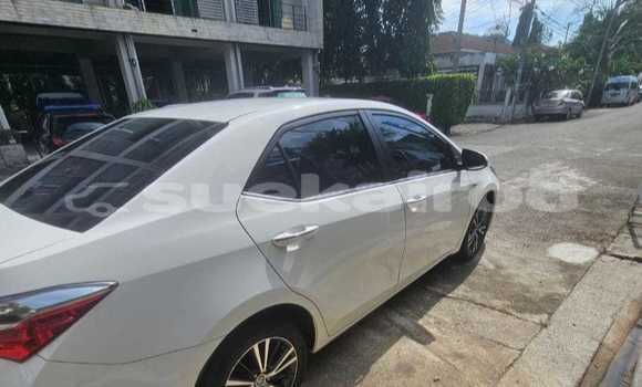 ซื้อ รถมือสอง Toyota Altis ขาว รถยนต์ ใน %{เมือง} ใน ภูเก็ต ซื้อ รถมือสอง Toyota Altis ขาว รถยนต์ ใน %{เมือง} ใน ภูเก็ต