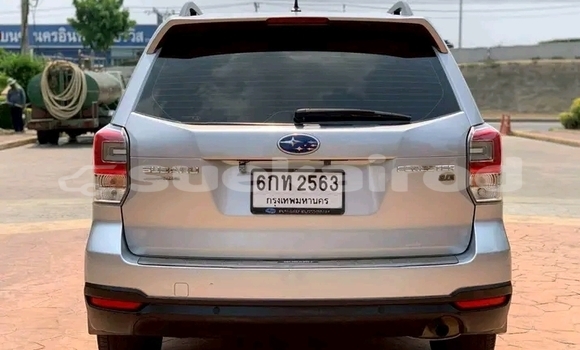 Buy Used Subaru Forester Other Car in Chai Nat in Chai Nat