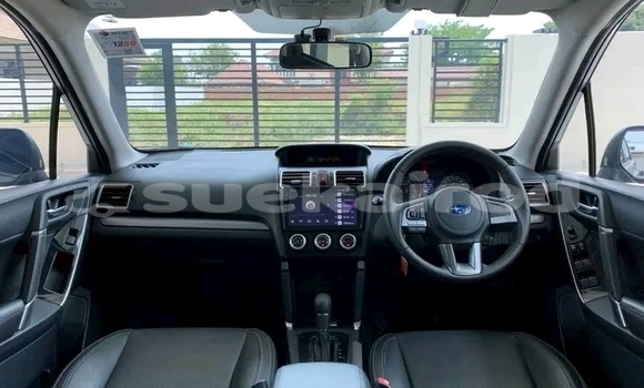 ซื้อ รถมือสอง Subaru Forester อื่น ๆ รถยนต์ ใน %{เมือง} ใน ชัยนาท ซื้อ รถมือสอง Subaru Forester อื่น ๆ รถยนต์ ใน %{เมือง} ใน ชัยนาท