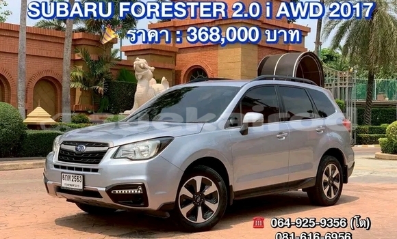 ซื้อ รถมือสอง Subaru Forester อื่น ๆ รถยนต์ ใน %{เมือง} ใน ชัยนาท ซื้อ รถมือสอง Subaru Forester อื่น ๆ รถยนต์ ใน %{เมือง} ใน ชัยนาท