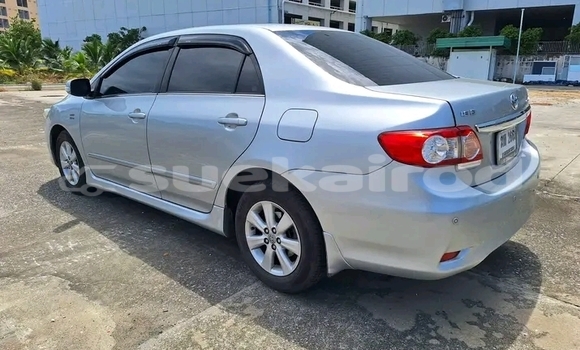 Cars for sale in thailand - suekairod