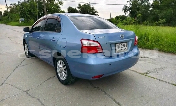 Buy Used Toyota Vios Other Car in Chonburi in Chonburi Buy Used Toyota Vios Other Car in Chonburi in Chonburi