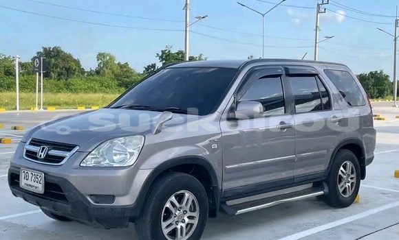 Buy Used Honda CR-V Other Car in Chaiyaphum in Chaiyaphum
