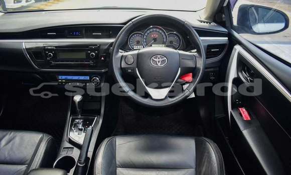 Buy Used Toyota Corolla White Car in Bangkok in Bangkok Buy Used Toyota Corolla White Car in Bangkok in Bangkok