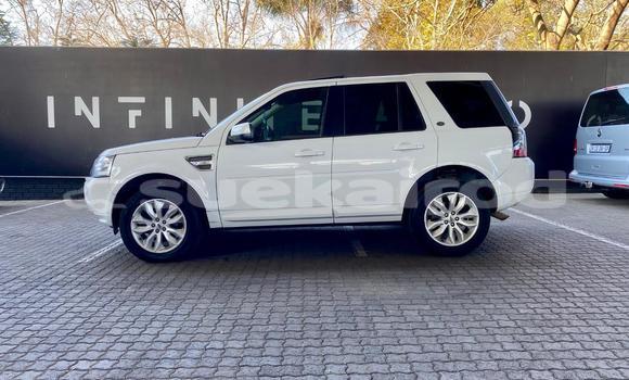 ซื้อ รถมือสอง Land Rover Freelander ขาว รถยนต์ ใน %{เมือง} ใน กรุงเทพมหานคร ซื้อ รถมือสอง Land Rover Freelander ขาว รถยนต์ ใน %{เมือง} ใน กรุงเทพมหานคร