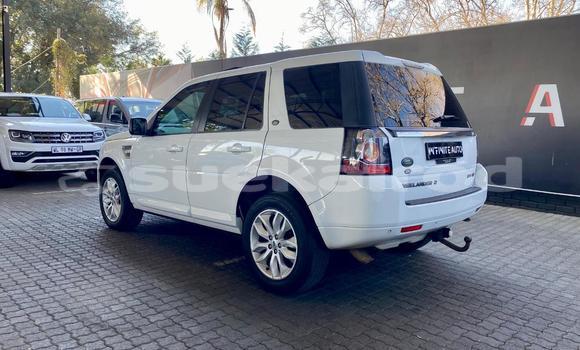 ซื้อ รถมือสอง Land Rover Freelander ขาว รถยนต์ ใน %{เมือง} ใน กรุงเทพมหานคร ซื้อ รถมือสอง Land Rover Freelander ขาว รถยนต์ ใน %{เมือง} ใน กรุงเทพมหานคร