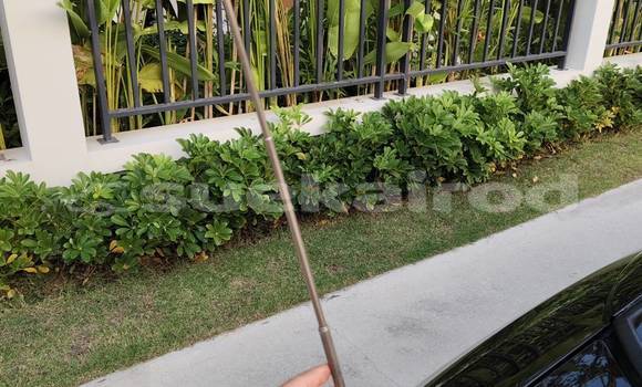 Buy Used Alfa Romeo GTV Black Car in Bangkok in Bangkok Buy Used Alfa Romeo GTV Black Car in Bangkok in Bangkok