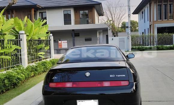 Buy Used Alfa Romeo GTV Black Car in Bangkok in Bangkok Buy Used Alfa Romeo GTV Black Car in Bangkok in Bangkok