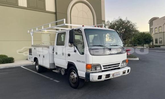 Buy Used Isuzu FTR 850 White Truck in Bangkok in Bangkok