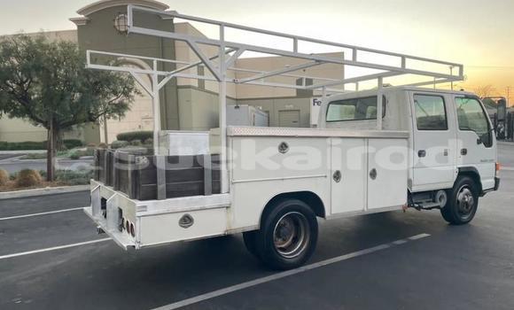 ซื้อ รถมือสอง Isuzu FTR 850 ขาว รถกระบะ ใน %{เมือง} ใน กรุงเทพมหานคร ซื้อ รถมือสอง Isuzu FTR 850 ขาว รถกระบะ ใน %{เมือง} ใน กรุงเทพมหานคร