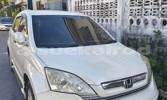 Buy Used Honda CR-V White Car in Bangkok in Bangkok