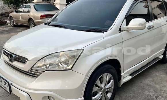 Buy Used Honda CR-V White Car in Bangkok in Bangkok Buy Used Honda CR-V White Car in Bangkok in Bangkok