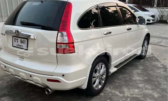 Buy Used Honda CR-V White Car in Bangkok in Bangkok Buy Used Honda CR-V White Car in Bangkok in Bangkok