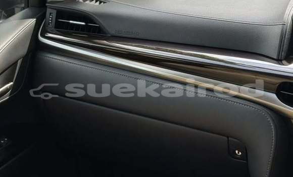 Buy Used Lexus LX 570 White Car in Chiang Mai in Chiang Mai Buy Used Lexus LX 570 White Car in Chiang Mai in Chiang Mai