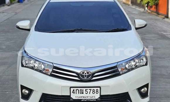 Buy Used Toyota Corolla White Car in Bangkok in Bangkok Buy Used Toyota Corolla White Car in Bangkok in Bangkok