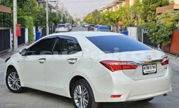 Buy Used Toyota Corolla White Car in Bangkok in Bangkok Buy Used Toyota Corolla White Car in Bangkok in Bangkok