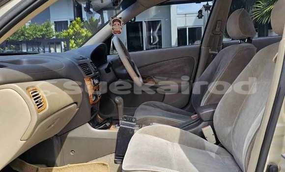 Buy Used Nissan Sunny Other Car in Bangkok in Bangkok Buy Used Nissan Sunny Other Car in Bangkok in Bangkok