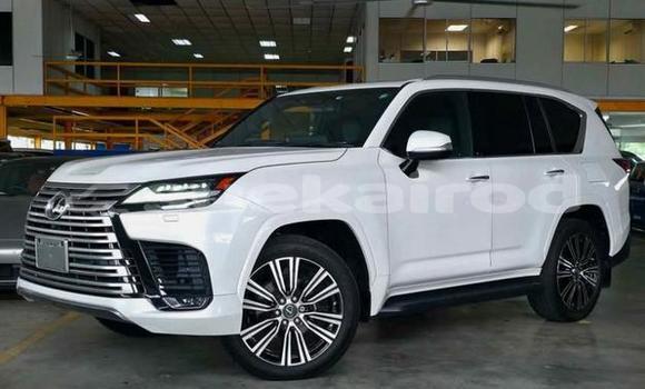 Buy Used Lexus LX White Car in Bangkok in Bangkok