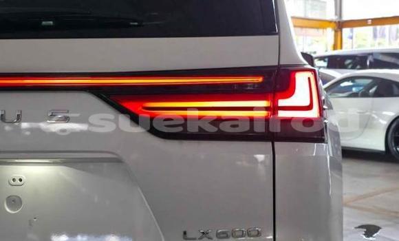 Buy Used Lexus LX White Car in Bangkok in Bangkok Buy Used Lexus LX White Car in Bangkok in Bangkok