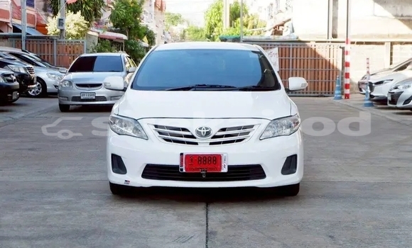 Buy Used Toyota Altis White Car in Chai Nat in Chai Nat Buy Used Toyota Altis White Car in Chai Nat in Chai Nat