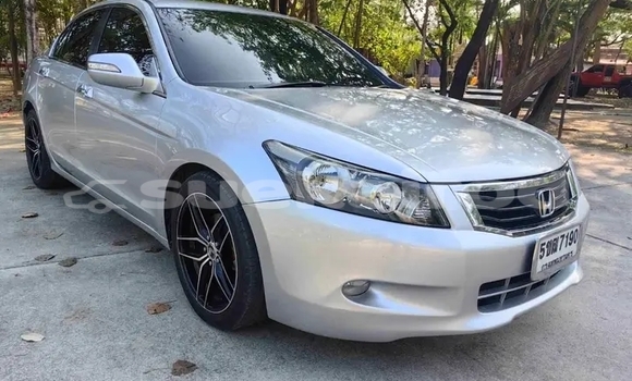 Buy Used Honda Accord White Car in Chachoengsao in Chachoengsao Buy Used Honda Accord White Car in Chachoengsao in Chachoengsao