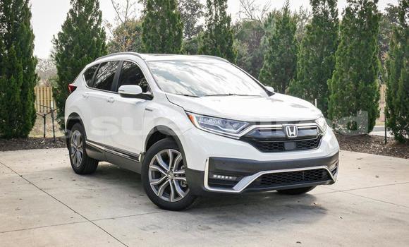 Buy Used Honda CR-V White Car in Bangkok in Bangkok