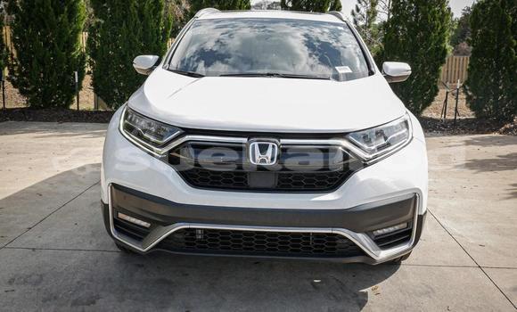 ซื้อ รถมือสอง Honda CR-V ขาว รถยนต์ ใน %{เมือง} ใน กรุงเทพมหานคร ซื้อ รถมือสอง Honda CR-V ขาว รถยนต์ ใน %{เมือง} ใน กรุงเทพมหานคร