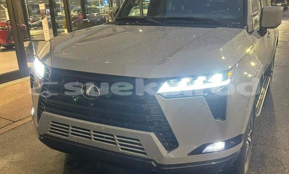 Buy Used Lexus GX White Car in Bangkok in Bangkok