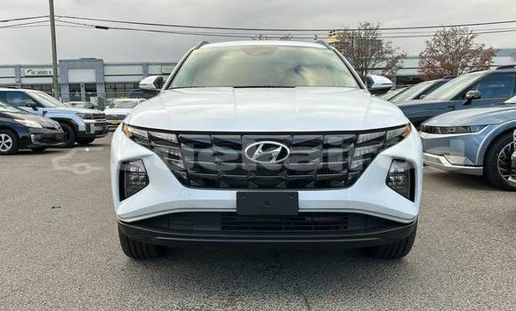 ซื้อ รถมือสอง Hyundai Tucson ขาว รถยนต์ ใน %{เมือง} ใน กรุงเทพมหานคร ซื้อ รถมือสอง Hyundai Tucson ขาว รถยนต์ ใน %{เมือง} ใน กรุงเทพมหานคร