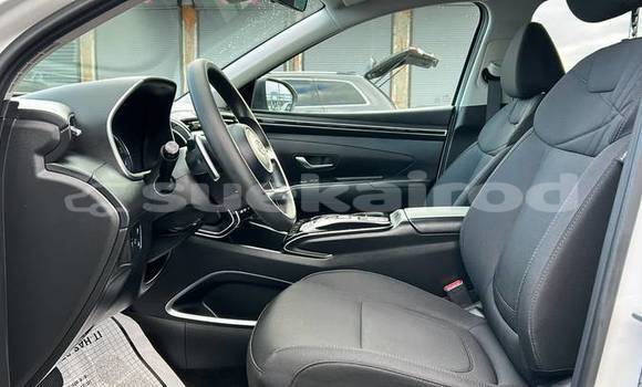 ซื้อ รถมือสอง Hyundai Tucson ขาว รถยนต์ ใน %{เมือง} ใน กรุงเทพมหานคร ซื้อ รถมือสอง Hyundai Tucson ขาว รถยนต์ ใน %{เมือง} ใน กรุงเทพมหานคร