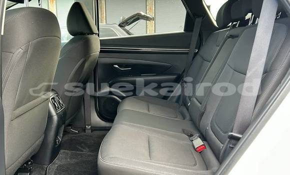 ซื้อ รถมือสอง Hyundai Tucson ขาว รถยนต์ ใน %{เมือง} ใน กรุงเทพมหานคร ซื้อ รถมือสอง Hyundai Tucson ขาว รถยนต์ ใน %{เมือง} ใน กรุงเทพมหานคร