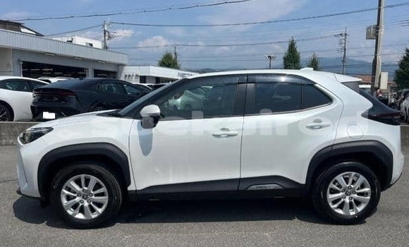 Buy Used Toyota Yaris White Car in Bangkok in Bangkok Buy Used Toyota Yaris White Car in Bangkok in Bangkok