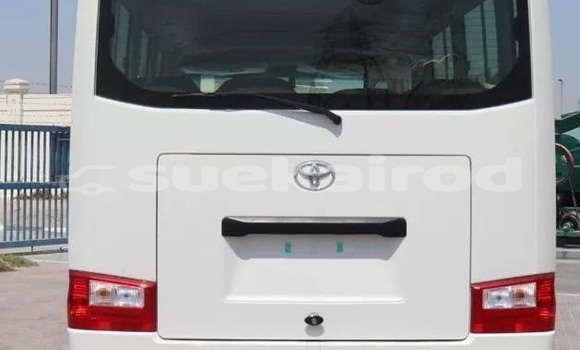Buy Used Toyota Coaster White Car in Bangkok in Bangkok Buy Used Toyota Coaster White Car in Bangkok in Bangkok