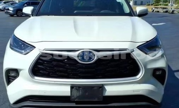 Buy Used Toyota Highlander White Car in Bangkok in Bangkok