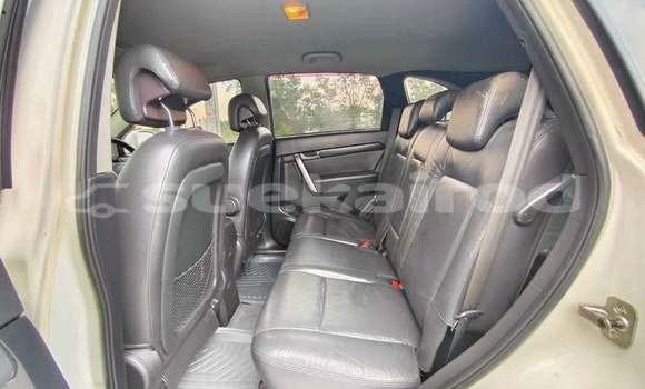 ซื้อ รถมือสอง Chevrolet Captiva ขาว รถยนต์ ใน %{เมือง} ใน กรุงเทพมหานคร ซื้อ รถมือสอง Chevrolet Captiva ขาว รถยนต์ ใน %{เมือง} ใน กรุงเทพมหานคร