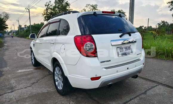 ซื้อ รถมือสอง Chevrolet Captiva ขาว รถยนต์ ใน %{เมือง} ใน กรุงเทพมหานคร ซื้อ รถมือสอง Chevrolet Captiva ขาว รถยนต์ ใน %{เมือง} ใน กรุงเทพมหานคร