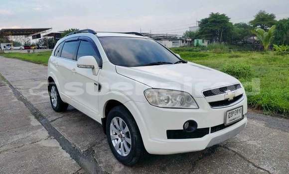 ซื้อ รถมือสอง Chevrolet Captiva ขาว รถยนต์ ใน %{เมือง} ใน กรุงเทพมหานคร ซื้อ รถมือสอง Chevrolet Captiva ขาว รถยนต์ ใน %{เมือง} ใน กรุงเทพมหานคร